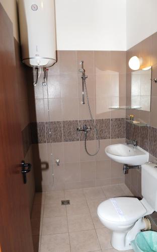 a bathroom with a shower and a toilet and a sink at Студия Давидов "Studios Davidoff"- апартаменти под наем in Plovdiv