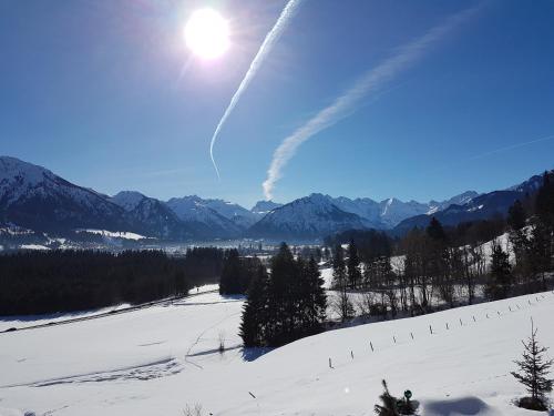 Paesaggio naturale nelle vicinanze dell'appartamento