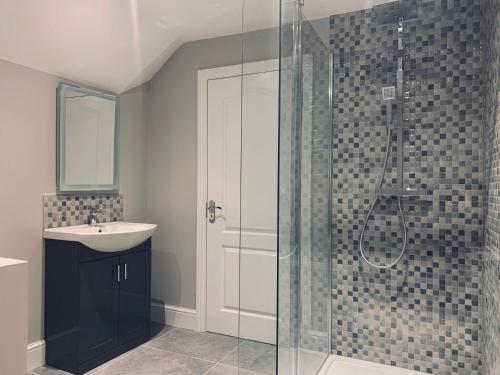 La salle de bains est pourvue d'un lavabo et d'une douche en verre. dans l'établissement The Nook County Dublin, à Dublin