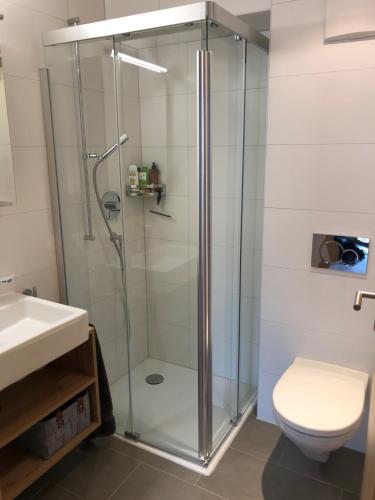 uma cabina de duche em vidro numa casa de banho com WC em Ski Heaven 7 em Veysonnaz