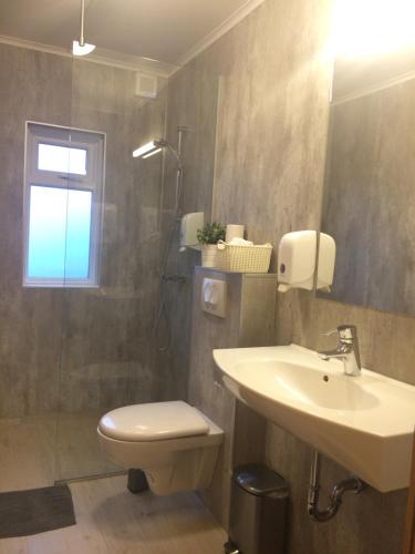 La salle de bains est pourvue de toilettes, d'un lavabo et d'une douche. dans l'établissement Guesthouse Carina, à Vík
