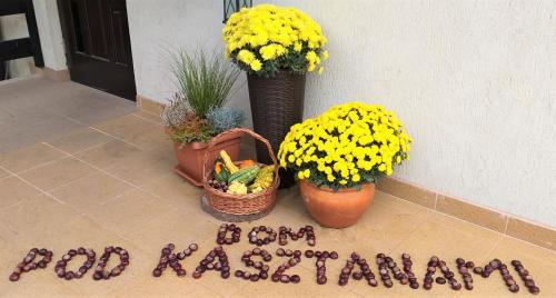 a table topped with plants and flowers next to a wall at Dom Pod Kasztanami in Kazimierz Dolny
