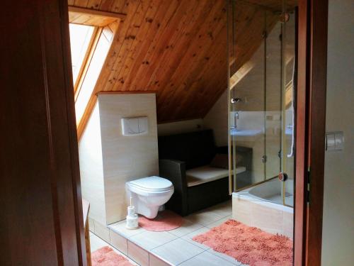 uma casa de banho com um WC e uma cabina de duche em vidro. em Apartamencik na Słonecznej em Piechowice