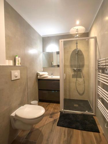 une salle de bain avec une douche, des toilettes et un lavabo dans l'établissement Charming Home - City Center Cosy Apartments, à Colmar