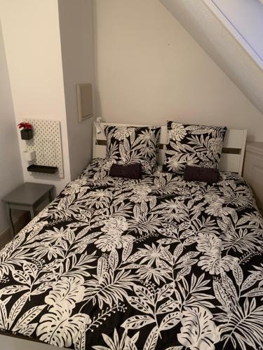 Historical town center spacious flat