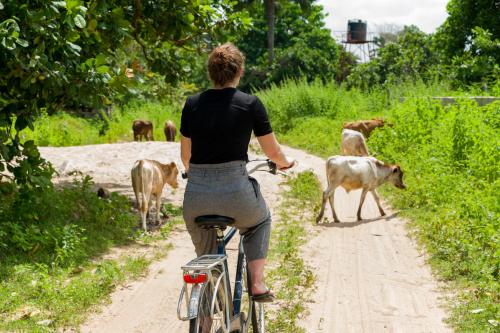 a woman riding a bike on a dirt road with cows at Tamba Kuruba Eco-lodge in Folonko