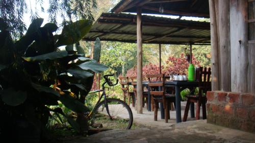 Gallery image of Kalitusi Nature Resort in Fort Portal