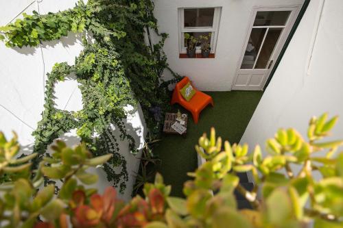 Vistas a una habitación con plantas y ventana en Cheap & Chic Hotel, en Ciutadella