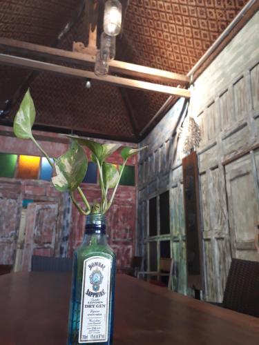 a bottle with a plant in it sitting on a table at Arjuna Garden Homestay in Yogyakarta