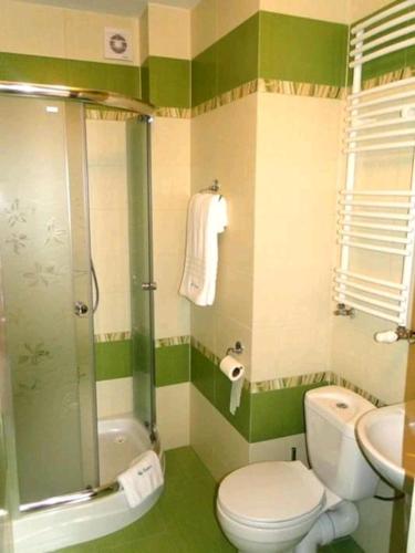 a green and white bathroom with a toilet and a shower at Nad Potokiem in Kaczorów