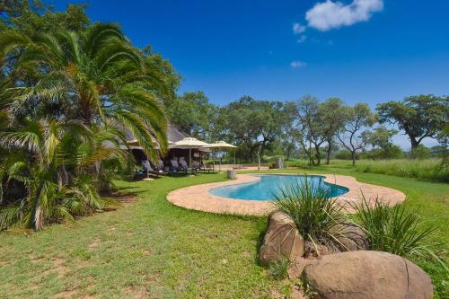 Piscina de la sau aproape de Thornybush Jackalberry Lodge