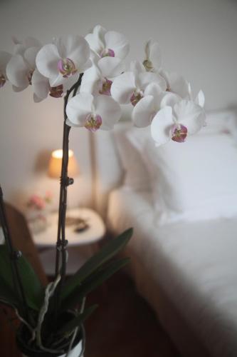 a vase filled with white orchid flowers next to a bed at La Maison De Maria in Folembray