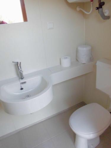 een witte badkamer met een toilet en een wastafel bij Vakantiepark t Urkerbos - Blokhutje in Urk