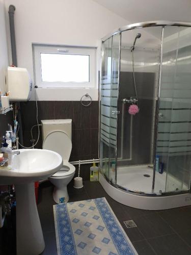 a bathroom with a shower and a toilet and a sink at Casa Dor de Ea in Dâmbovicioara