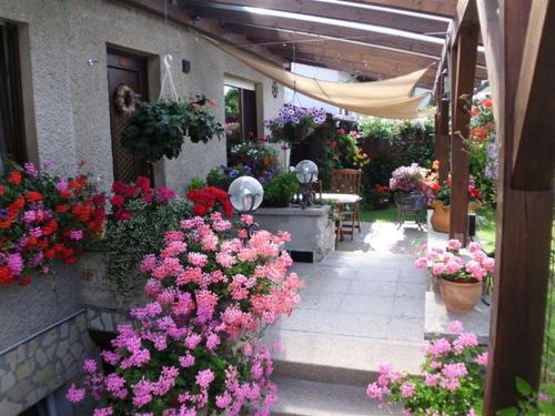 een tuin met roze bloemen aan de zijkant van een gebouw bij Appartement Studio Kremser in Kranichfeld