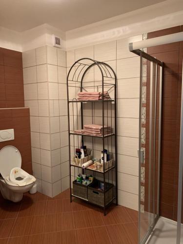 ein Badezimmer mit einem WC und einem Handtuchhalter in der Unterkunft Apartmán SOŇA in Tale