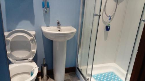 a bathroom with a sink and a toilet and a shower at Harbor View in Uig