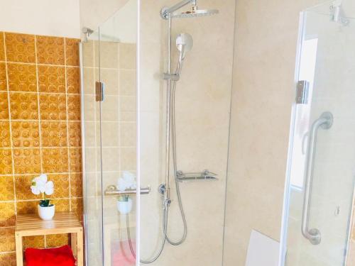 a shower in a bathroom with a glass shower stall at Gästezimmer am Hochrhein in Lauchringen