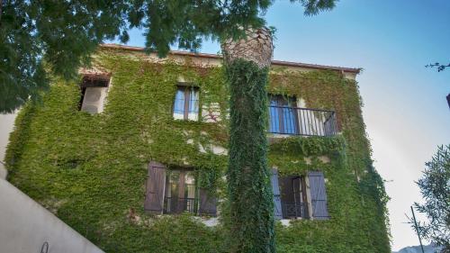an ivy covered building with windows and a tree at Laniella location in Calvi