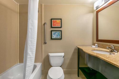 a bathroom with a toilet and a sink and a tub at Comfort Inn & Suites Nashville Franklin Cool Springs in Franklin