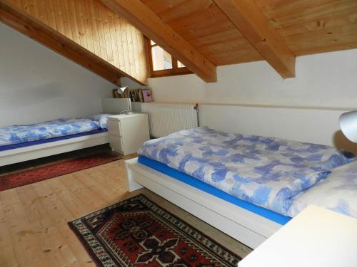 - une chambre avec 2 lits et un tapis dans l'établissement Abgeschiedene Ferienwohnung im Böhmerwald, à Kašperské Hory