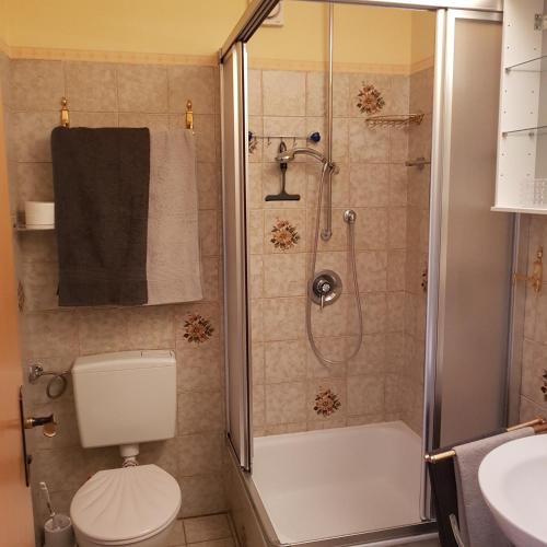 a bathroom with a shower and a toilet and a sink at Haus Hochgrat in Oberstaufen
