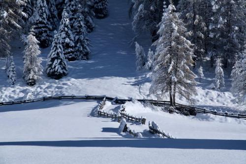 a snow covered slope with trees and a fence at Berghof Niederthai in Niederthai