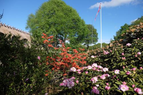 a garden of flowers with a flag in the background at Billund Rooms in Billund