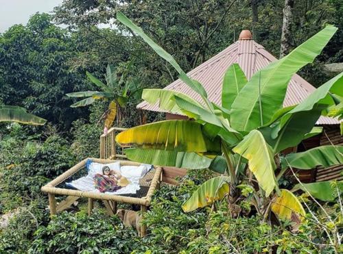a chair with a picture of a person on it in front of a tree at Monte Mágico in Támesis