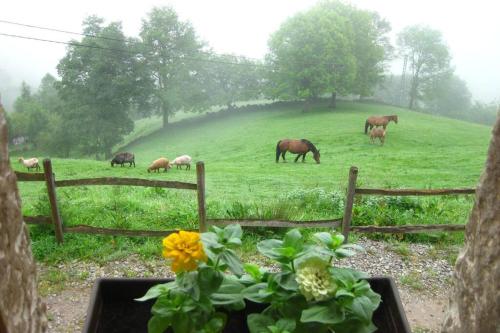 a group of horses grazing in a field near a fence at Los Pradones in San Roque de Ríomiera