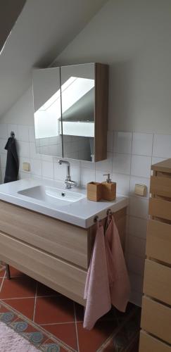 ein Bad mit einem Waschbecken und einem Spiegel in der Unterkunft Apartment Stockerau in Stockerau