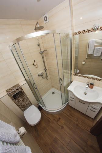 a bathroom with a shower and a toilet and a sink at Posterunek Mariańska 9 in Polanica-Zdrój