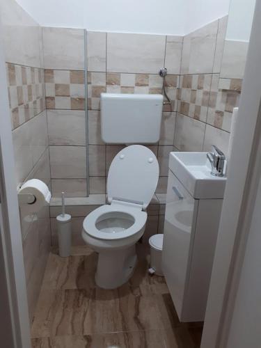a small bathroom with a toilet and a sink at Apartman ANA in Slavonski Brod