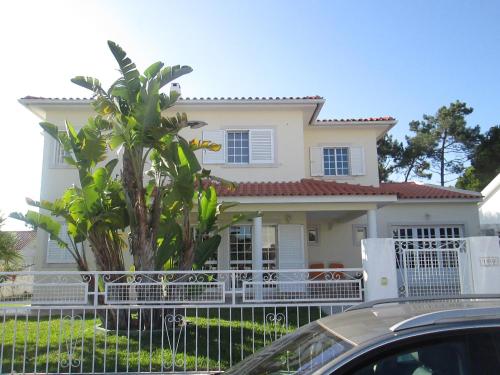a white house with a tree in front of it at Moradia da Bananeira in Lagoa de Albufeira