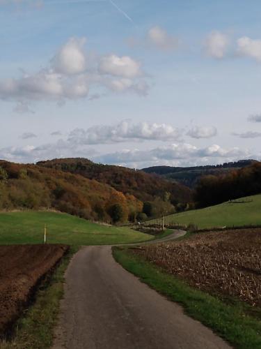 a dirt road in the middle of a field at Lavender Hill in Messinghausen