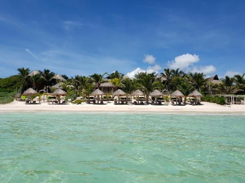 a beach with umbrellas and chairs and the ocean at Sueños Tulum in Tulum
