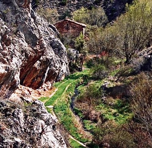 Φυσικό τοπίο κοντά σε αυτό το σαλέ