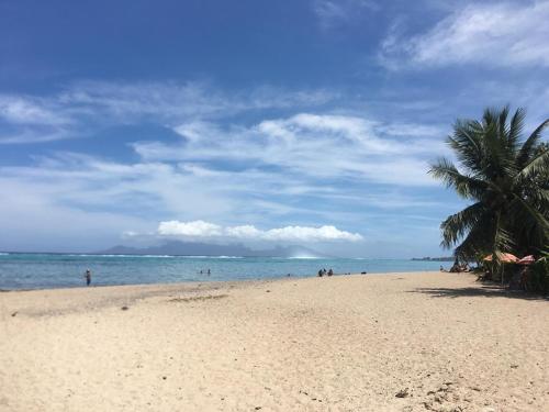 a beach with a palm tree and the ocean at Fare noanoa in Mariuti