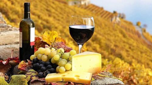 a glass of wine and a bunch of grapes and cheese at Hunter Valley Motel in Cessnock