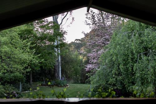 a view of a garden from a window at Nest House Bright in Bright