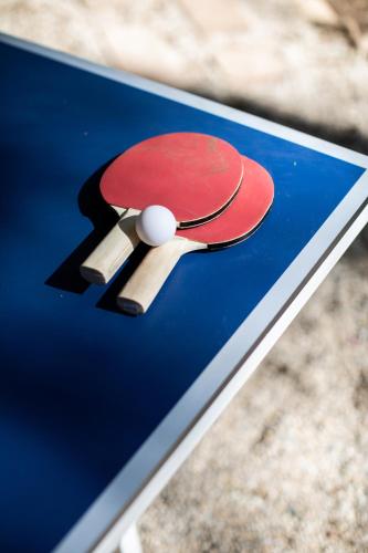 a ping pong racket and ball on top of a table at Nest House Bright in Bright