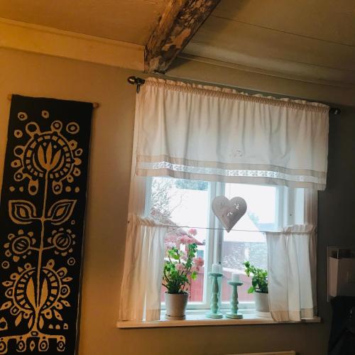 a window with white curtains and plants on a shelf at Citymökki in Kristiinankaupunki
