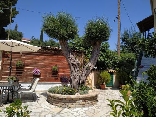 a tree in a stone circle with a table and chairs at Flowers studios in Benitses
