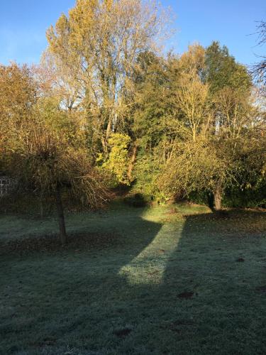 a grassy field with trees in the background at Au Calme de Hosdent in Braives