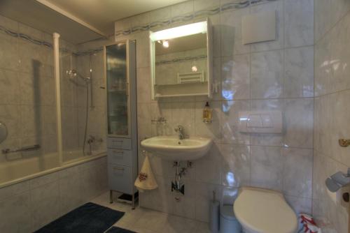 a bathroom with a sink and a toilet and a shower at Rosat 13 in Chateau-d'Oex