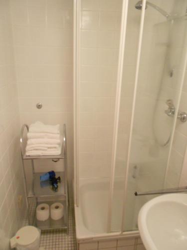 a bathroom with a shower and a toilet and a sink at Apartments Hofgarten in Regensburg