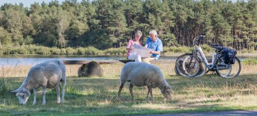 two sheep grazing in the grass next to a bike at Hotel van der Valk Spier Dwingeloo in Spier