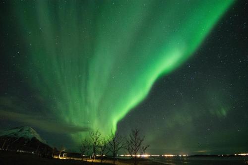 an image of the northern lights in the sky at Kría Cottages in Skeljabrekka