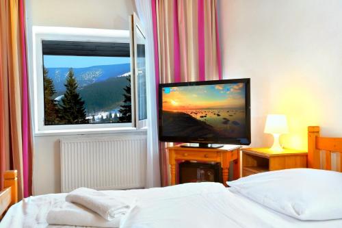 Postel nebo postele na pokoji v ubytování Hotel Lesana