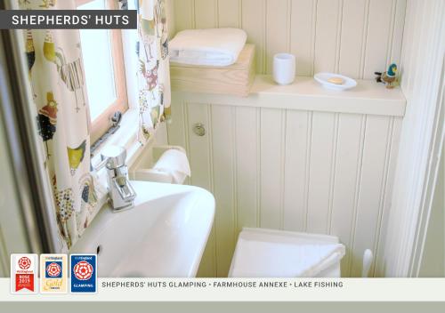 a small bathroom with a sink and a toilet at Morndyke Shepherds Huts in Thirsk